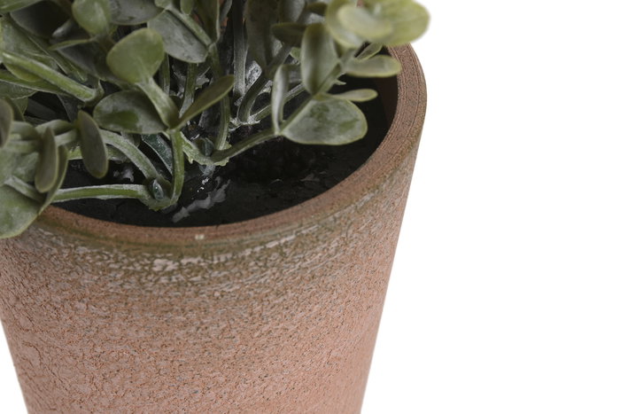 DKD Home Decor Planta Verde Amarillo 15 x 18.5 x 15 cm (12 Unidades)