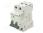 SCHNEIDER ELECTRIC Easy9 Pro MCB 10A 2P 6kA