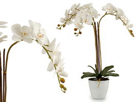 Ibergarden Orquidea Blanca Maceta Conica Blanca Jumb 40x82x44cm (Set de 2)