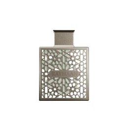 Rayhaan Terra Eau de Parfum 100 ml Spray