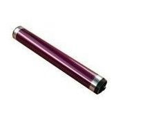 Toshiba Tambor de imagen O-DF34M Magenta 30k Toshiba Tambor de imagen O-DF34M Magenta 30k