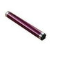 Toshiba Tambor de imagen O-DF34M Magenta 30k
