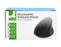 Q-connect Ratón Óptico Inalámbrico Ergonómico Vertical Negro