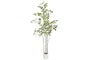 DKD Home Decor Árbol de Buganvilla en Blanco y Verde (60x60x170 cm) fabricado en poliéster y cemento