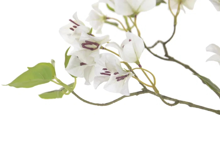 DKD Home Decor Árbol de Buganvilla en Blanco y Verde (60x60x170 cm) fabricado en poliéster y cemento