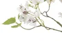 DKD Home Decor Árbol de Buganvilla en Blanco y Verde (60x60x170 cm) fabricado en poliéster y cemento