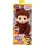 Little Live Pets - Mi Mini Bebé Mono Marrón, Peluche Interactivo para Niños a Partir de 4 Años - LIT0630996267653