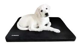 B. Braun Cama Hospitalización XL