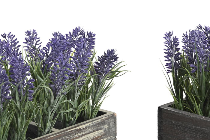DKD Home Decor Planta de Lavanda 32x14x19,5 cm (Pack de 2)