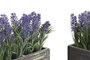 DKD Home Decor Planta de Lavanda 32x14x19,5 cm (Pack de 2)