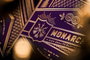 Theory 11 Baraja de cartas Monarch Purple