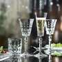 Rcr Cristalleria Copa Cava 170 Ml Altura 244 Mm (6 Unidades) LUXION® Eco-crystal Glass