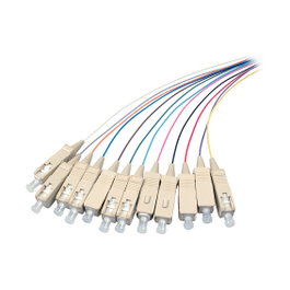 EFB Elektronik Cable de red SC monomodo (M)