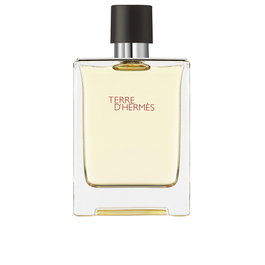 Hermès Terre d'Hermès Eau de Toilette 100 ml