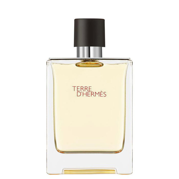 Hermès Terre d'Hermès Eau de Toilette 100 ml