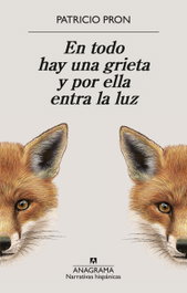 En todo hay una grieta y por ella entra la luz, Patricio Pron - ANAGRAMA