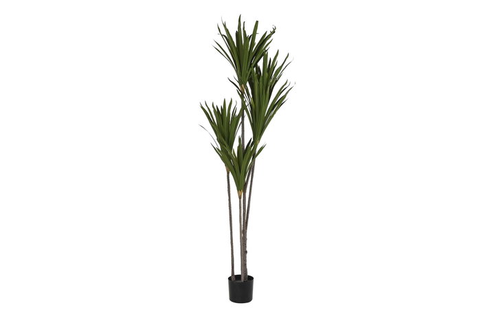 DKD Home Decor Planta Poliester PP 80X80X180 Verde DKD Home Decor Planta Poliester PP 80X80X180 Verde