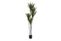 DKD Home Decor Planta Poliester PP 80X80X180 Verde