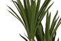 DKD Home Decor Planta Poliester PP 80X80X180 Verde