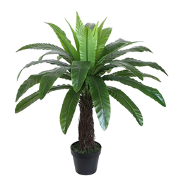 DKD Home Decor Planta de Helecho Nido de Ave Verde 60x60x105 cm