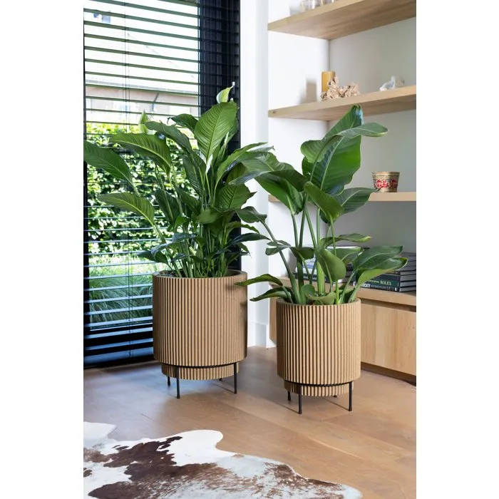 CAPI EUROPE Jarrón cilíndrico Groove NL 36 x 38 cm Beige - KGVBE882