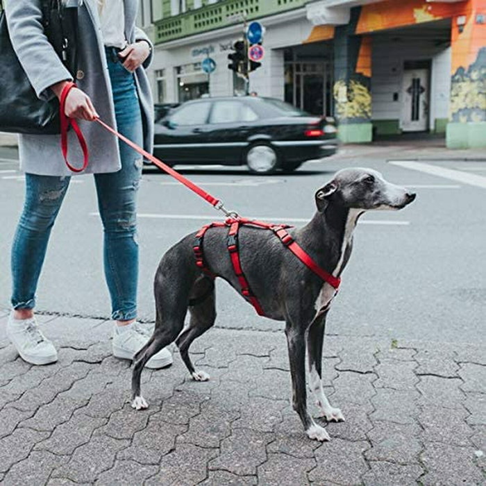 Hunter Arnés de Seguridad Vario Rapid 'No Escape' para Perro - Correa Antipánico Desmontable, Talla S-M, Nylon, Rojo, Pecho 48-70 cm Hunter Arnés de Seguridad Vario Rapid 'No Escape' para Perro - Correa Antipánico Desmontable, Talla S-M, Nylon, Rojo, Pecho 48-70 cm