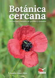 TUNDRA, BOTANICA CERCANA. LAS HIERBAS COMUNES DE LOS PUEBLOS Y CIUDADES