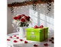 Leitz Click&Store Caja de almacenamiento mediana verde 281x200x369 mm