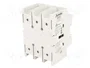 LOVATO ELECTRIC Interruptor de aislamiento GA100C 3 polos 100A