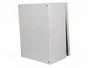 FIBOX ARCA Carcasa de pared Gris 300x400x210mm