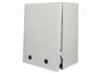 FIBOX ARCA Carcasa de pared Gris 300x400x210mm