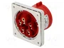 SEZ DK Conector de alimentación AC trifásico 16A 5 pines