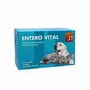 JT PHARMA S.L. Enterovital Sticks Polvo 60x1g para Perro y Gato