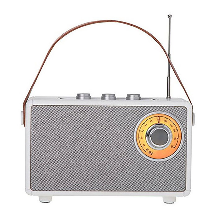 Camry Radio CR 1902 Altavoz Bluetooth Portátil con Radio FM (87-108 MHz), Sintonizador Analógico, Auxiliar, TWS, SD Card, USB-C Carga, Blanco