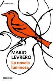 La novela luminosa, Mario Levrero - DEBOLSILLO