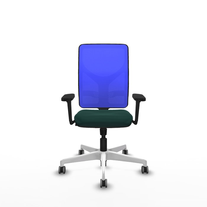 PIQUERAS Y CRESPO Silla de oficina Motilla con Mecanismo Sincro, Verde botella y Azul PIQUERAS Y CRESPO Silla de oficina Motilla con Mecanismo Sincro, Verde botella y Azul