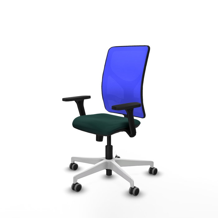PIQUERAS Y CRESPO Silla de oficina Motilla con Mecanismo Sincro, Verde botella y Azul PIQUERAS Y CRESPO Silla de oficina Motilla con Mecanismo Sincro, Verde botella y Azul