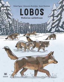 Lobos: Historias Auténticas, Aleksandra Mizielinska - MAEVA EDICIONES