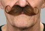 My Other Me Bigote Única