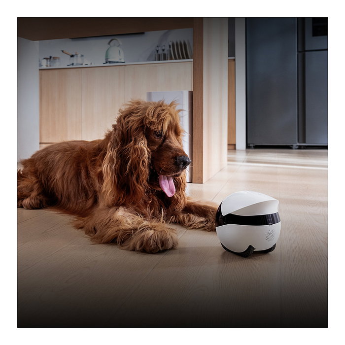 Enabot EBO Air 2 Plus Robot Mascota con Camara 3K, Vision Nocturna, WiFi 5 GHz, 137 Grados, 5000 mAh, Blanco/Negro - EBO Air2 Plus