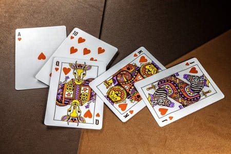 Theory 11 Baraja de cartas Animal Kingdom