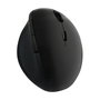 LogiLink ID0139 Ratón Ergonómico Inalámbrico 2.4 GHz Negro