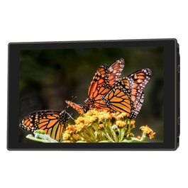 Portkeys HD7T Monitor de 7 pulgadas con 1000 nits y entrada HDMI