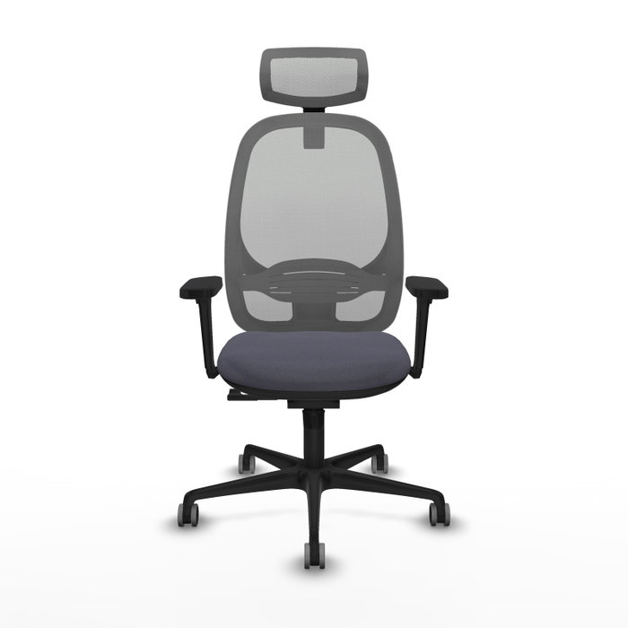 PIQUERAS Y CRESPO Silla de oficina Cilanco con Mecanismo Sincro, Gris PIQUERAS Y CRESPO Silla de oficina Cilanco con Mecanismo Sincro, Gris
