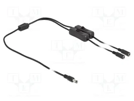 DeLOCK Cable de alimentación 86794, 1 m, Macho DC 5,5 x 2,1 mm a 2 x Hembra CC con interruptor