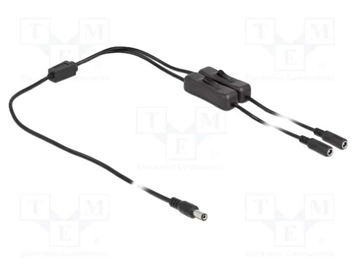DeLOCK Cable de alimentación 86794, 1 m, Macho DC 5,5 x 2,1 mm a 2 x Hembra CC con interruptor