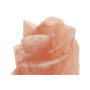DKD Home Decor Lámpara de Sobremesa de Sal del Himalaya Flor Rosa