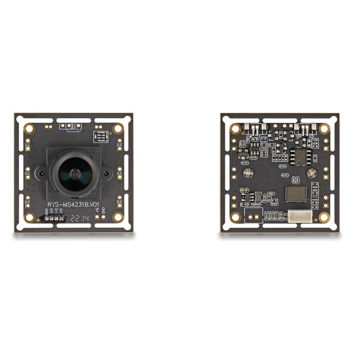 DeLOCK Módulo de cámara USB 2.0 con HDR 2,1 MP 94° V6