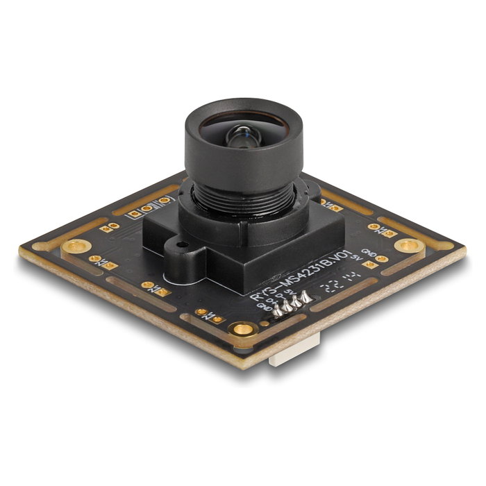 DeLOCK Módulo de cámara USB 2.0 con HDR 2,1 MP 94° V6