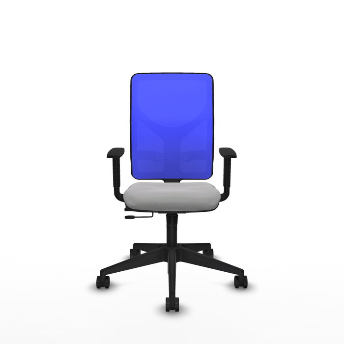 PIQUERAS Y CRESPO Silla de oficina Motilla Sincro/Traslack Gris claro y Azul PIQUERAS Y CRESPO Silla de oficina Motilla Sincro/Traslack Gris claro y Azul